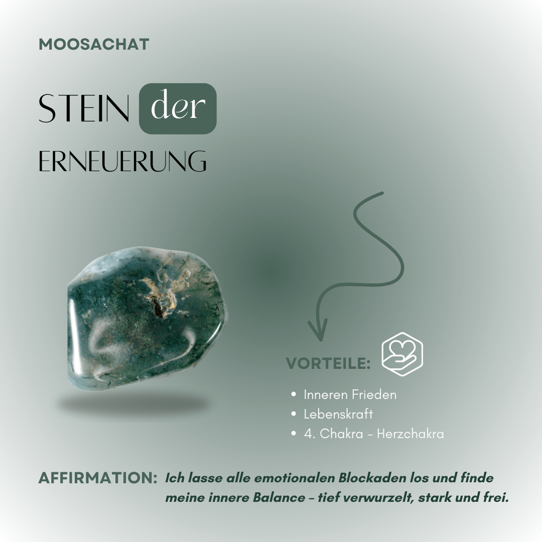 Moosachat Beschreibung - YNNOVIA