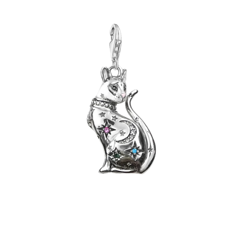 Magic Cat Pendant - Silver